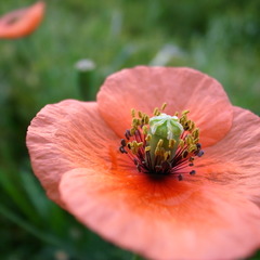 gr0511 040
