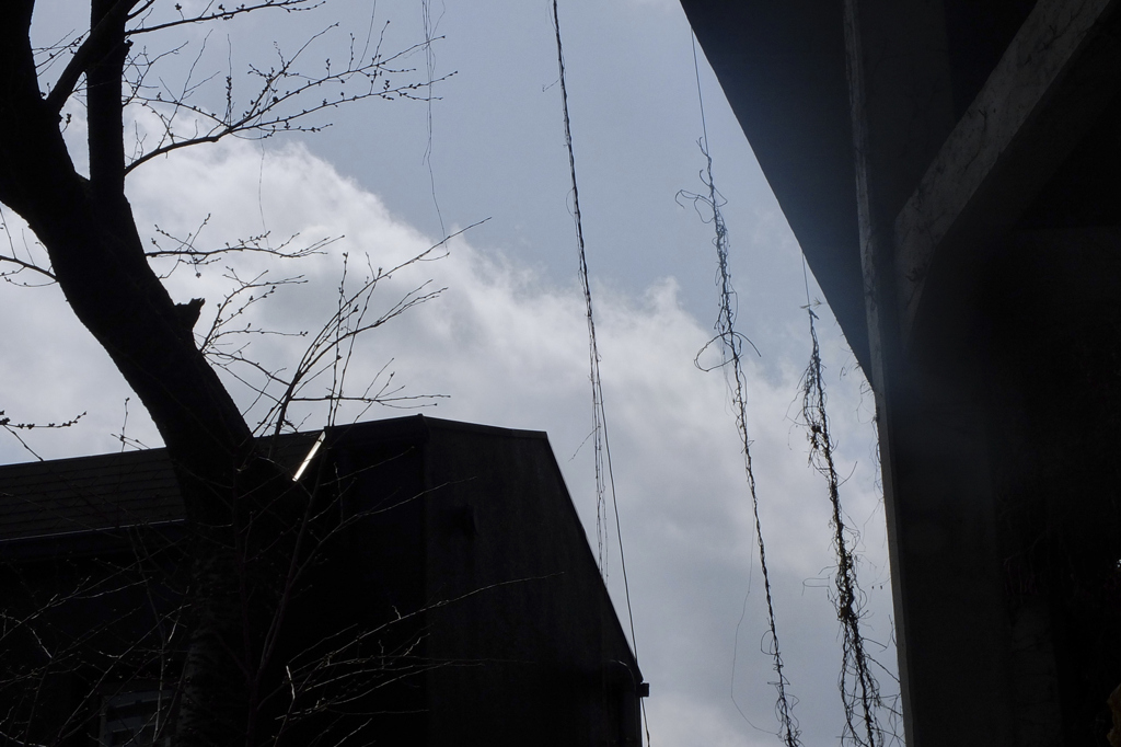 1219 【横浜付近】