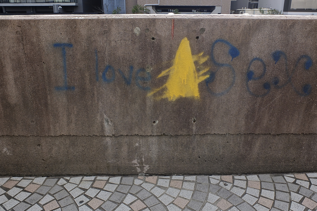 1137 【横浜付近】