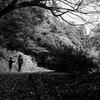 1416 Kodomo-shizen Park
