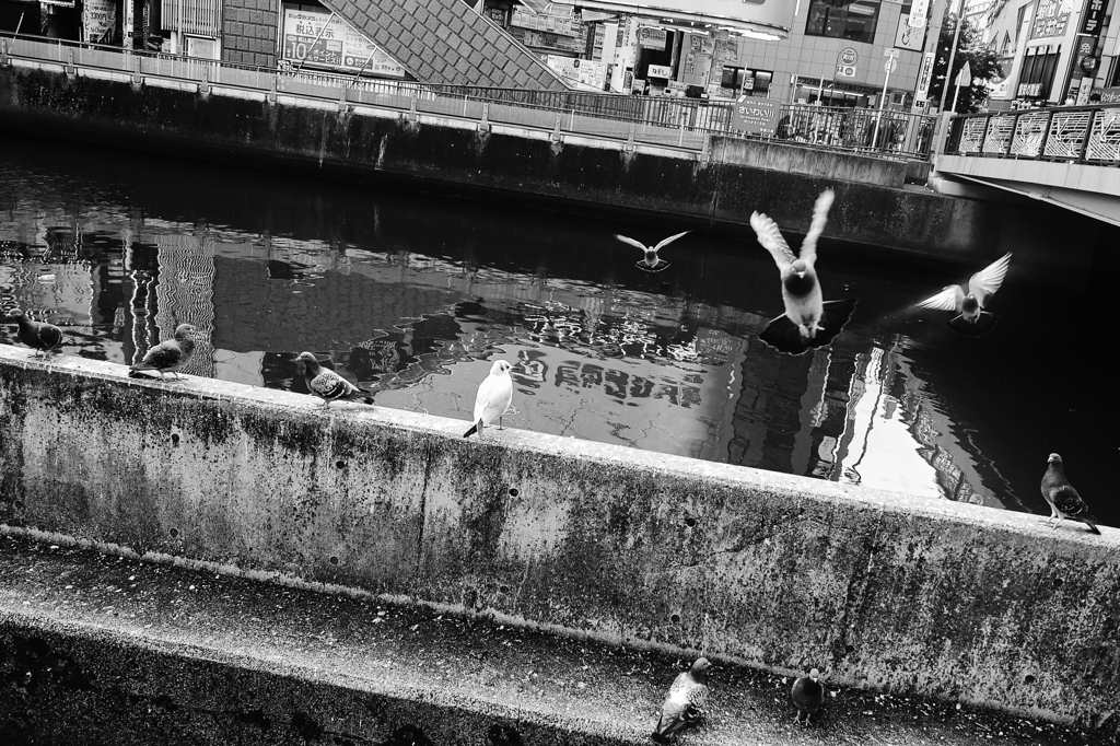 1303 【横浜付近】