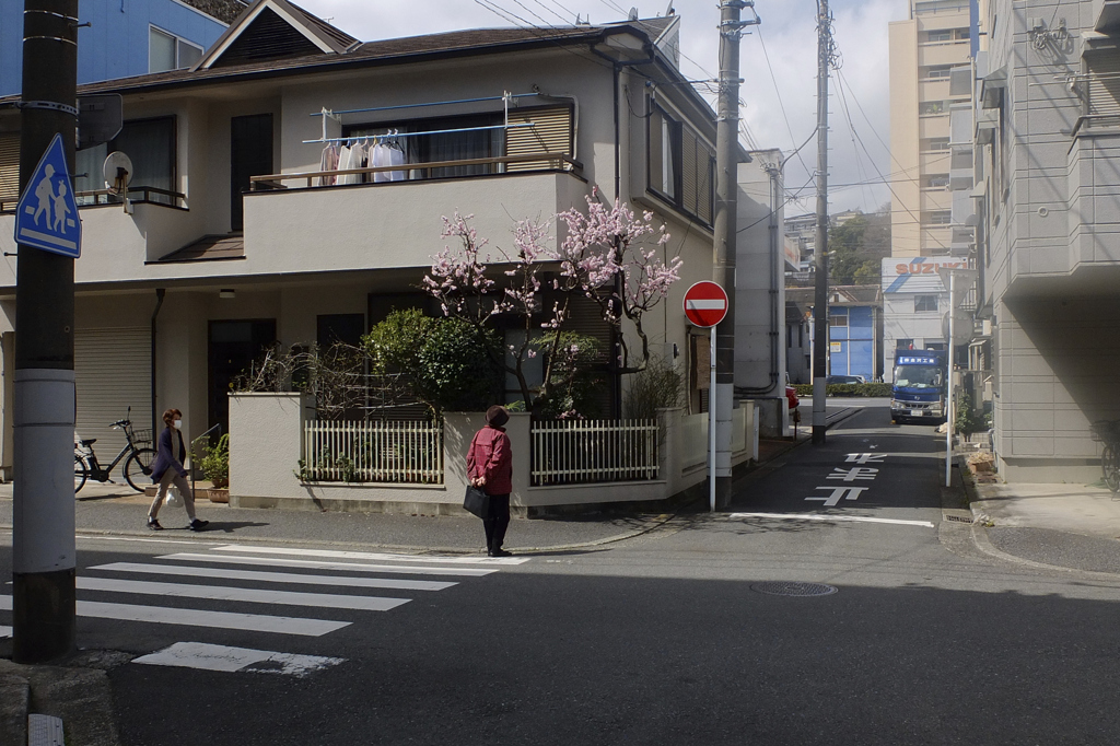 1207 【横浜付近】