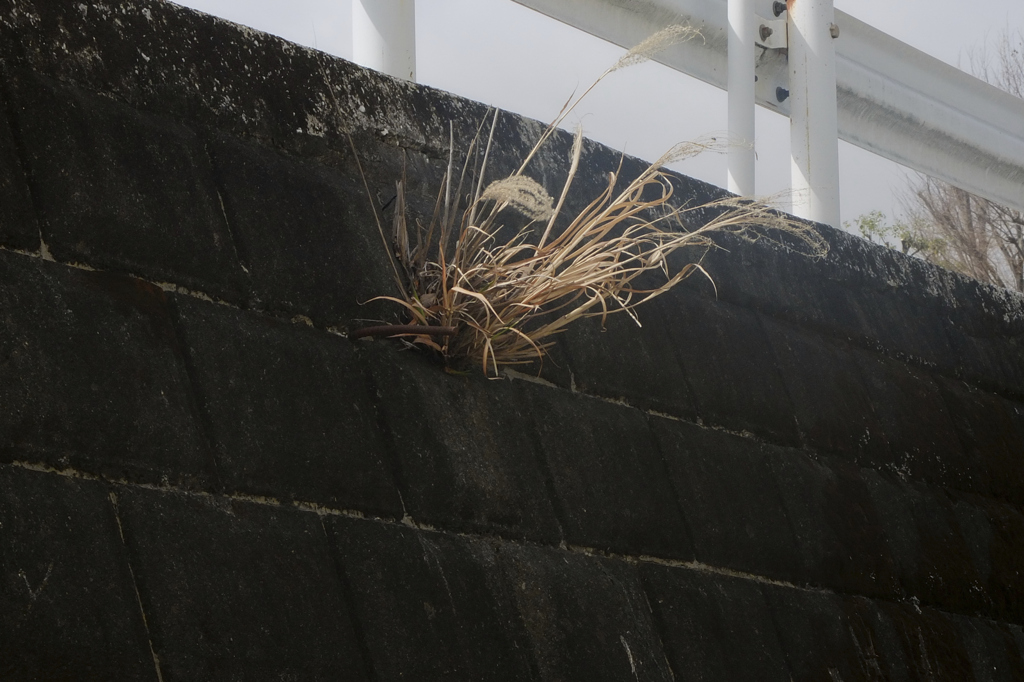 1022 (Everyday Pix) #4