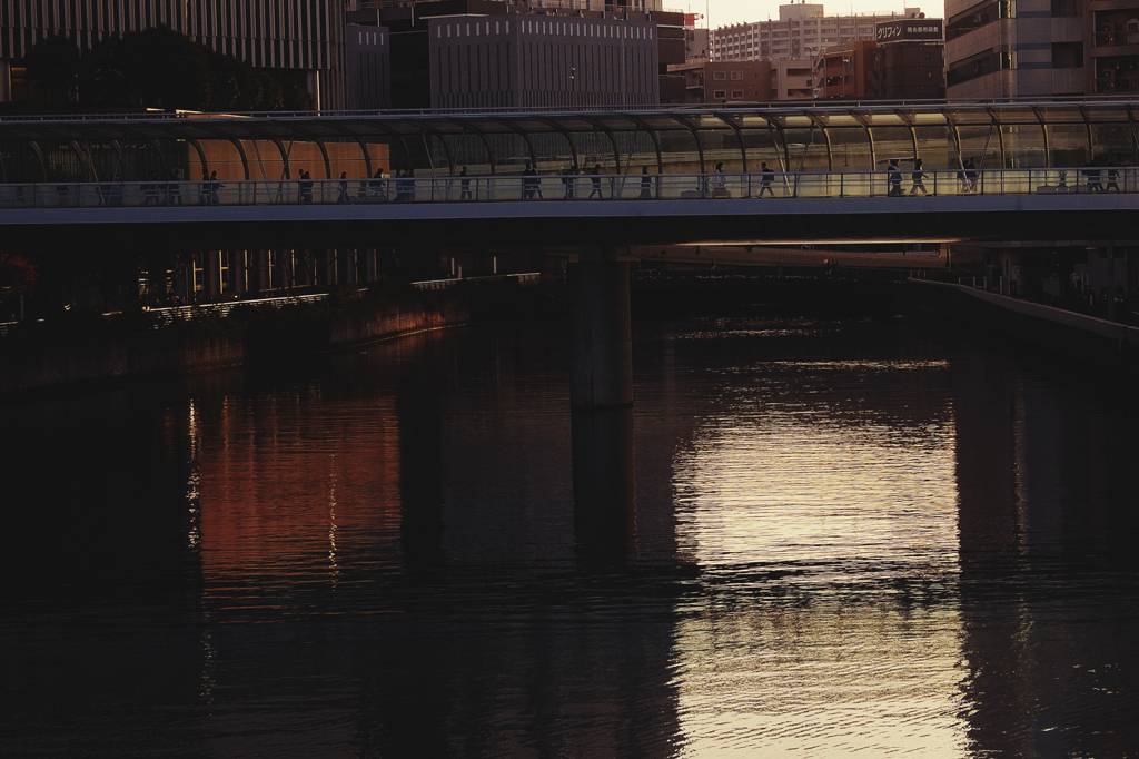 1711 【横浜付近】