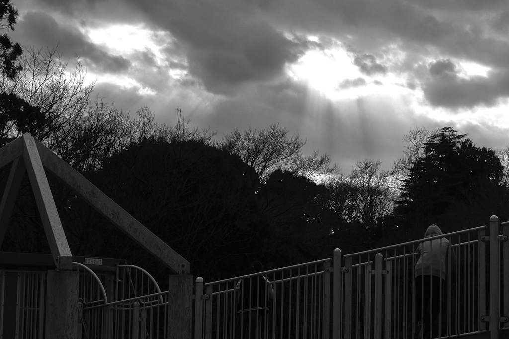 1551 (Everyday Pix) #5