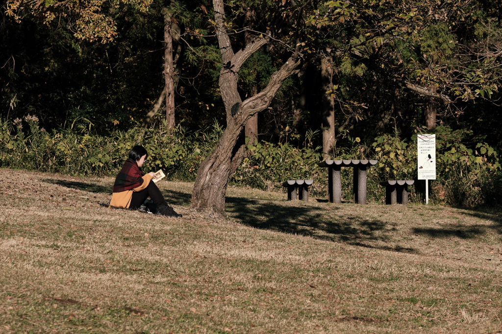 1342 Kodomo-shizen Park