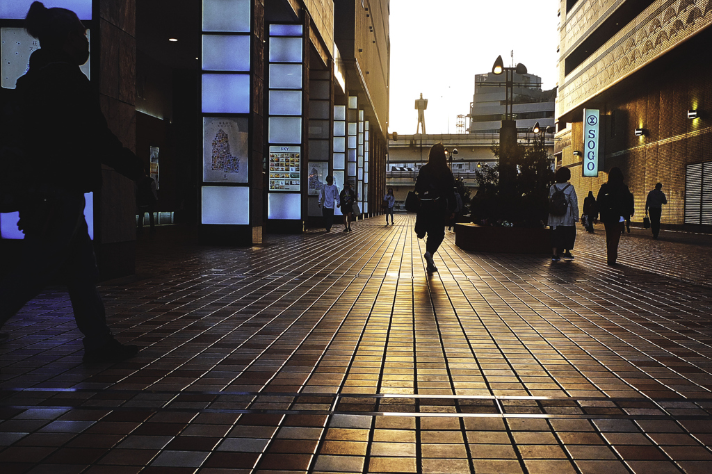 1724 【横浜付近】