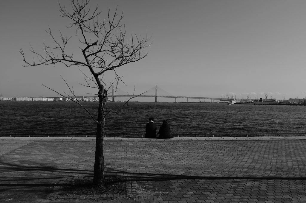 1247 距離感～中年