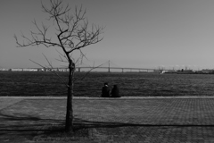 1247 距離感～中年