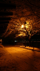 雪華街道
