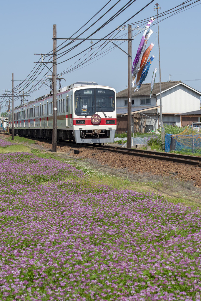 平成から令和へ ／準急 新開地行