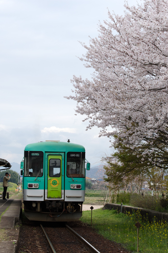 ボランティア駅長（♂）