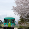 ボランティア駅長（♂）