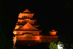 オレンジ色の姫路城 8