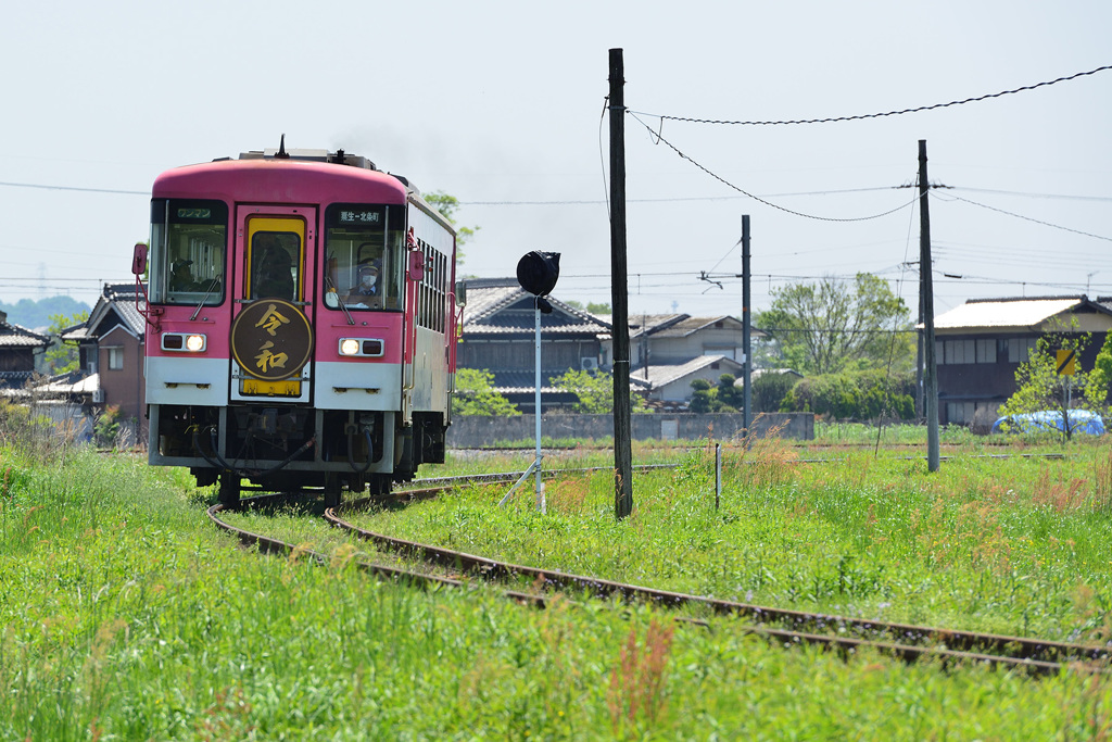 「令和」が行く！〔フラワ 2000-1号〕