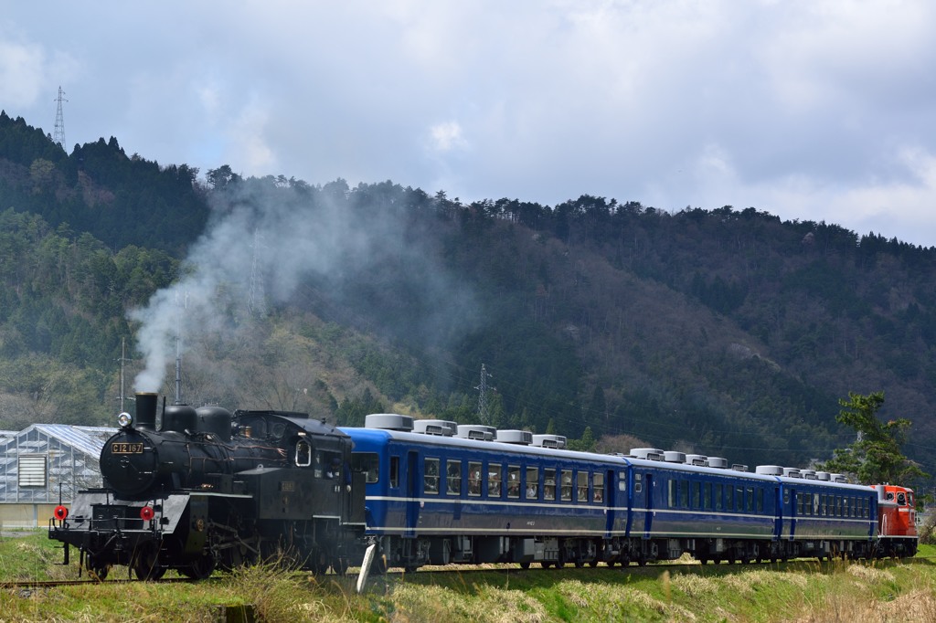 田園を駆け抜けて