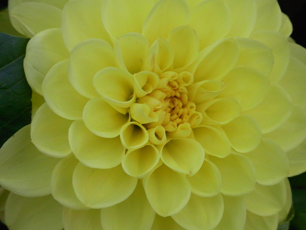 R0010860