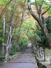 鶏足寺