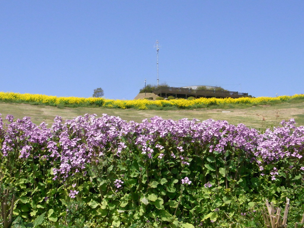 R0010967