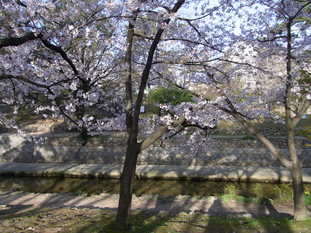 R0010525