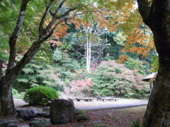 鶏足寺