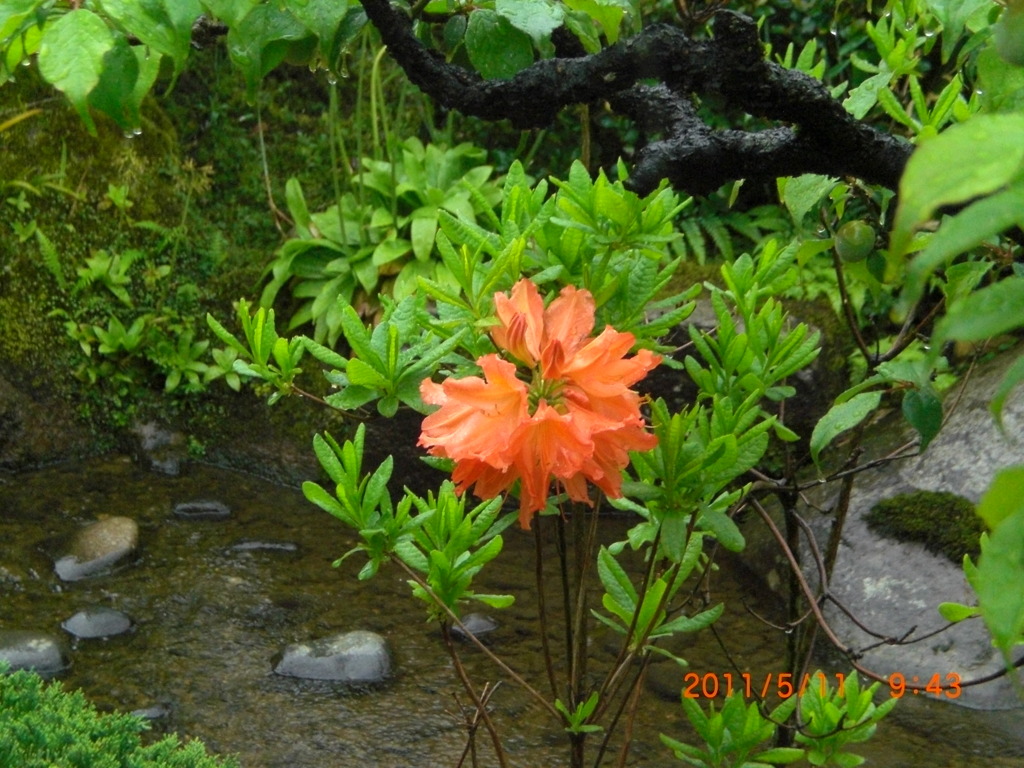 CIMG0293