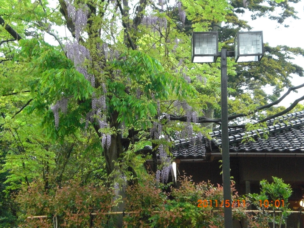 CIMG0300