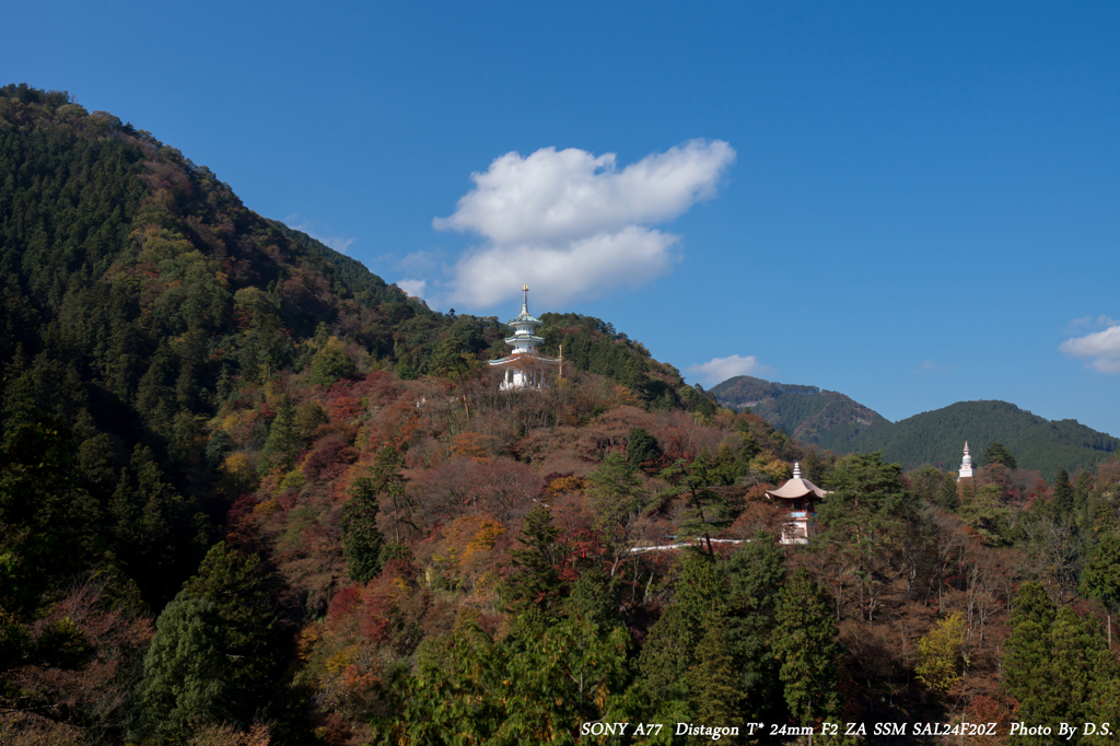 玄弉三蔵塔の紅葉