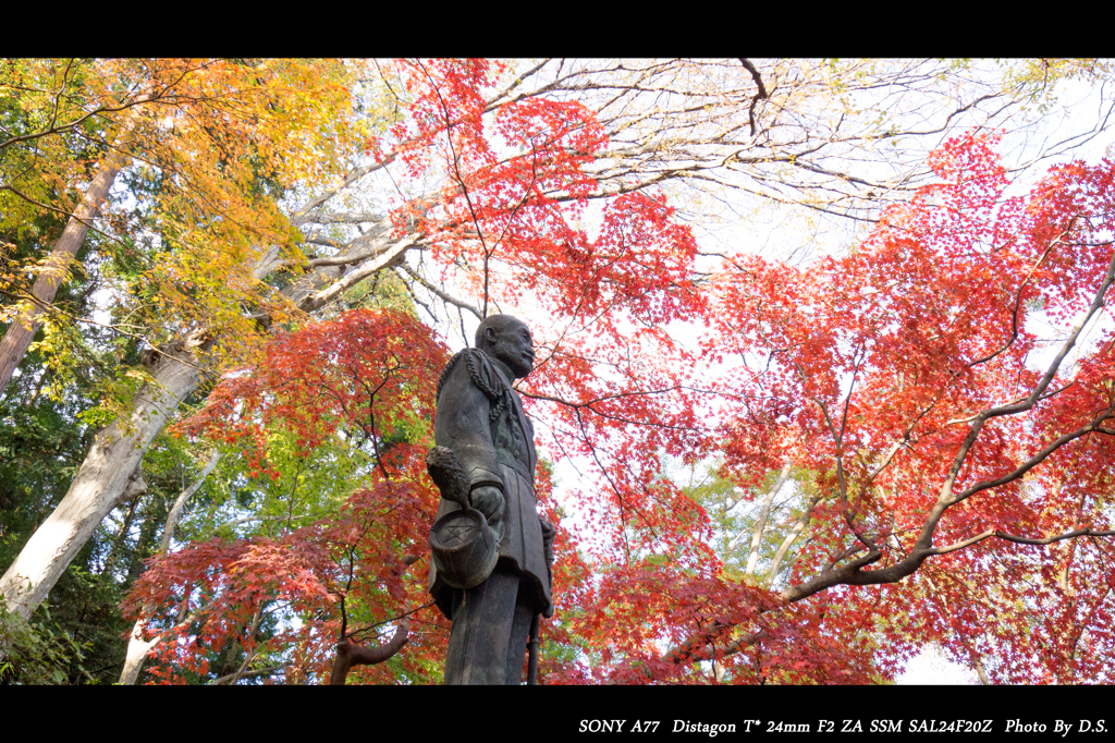 紅葉にたたずむ