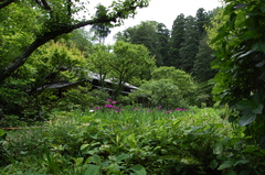 鎌倉・東慶寺１