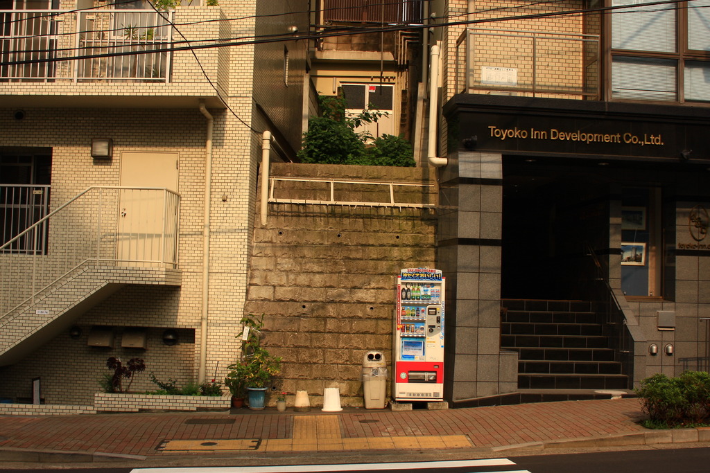 生き残れ