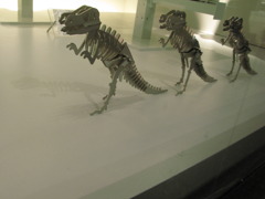 ザラザウルス