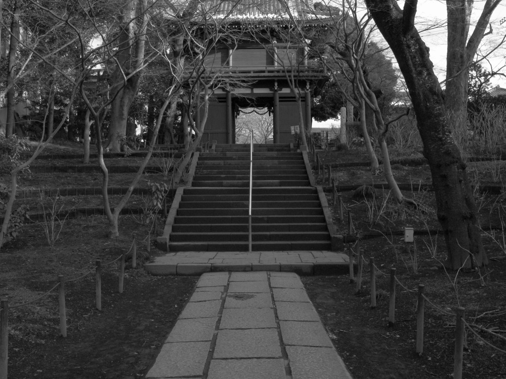 時を越えて
