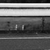White line