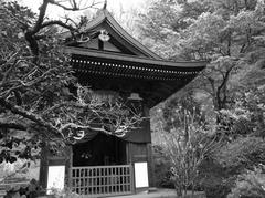 鎌倉 円覚寺