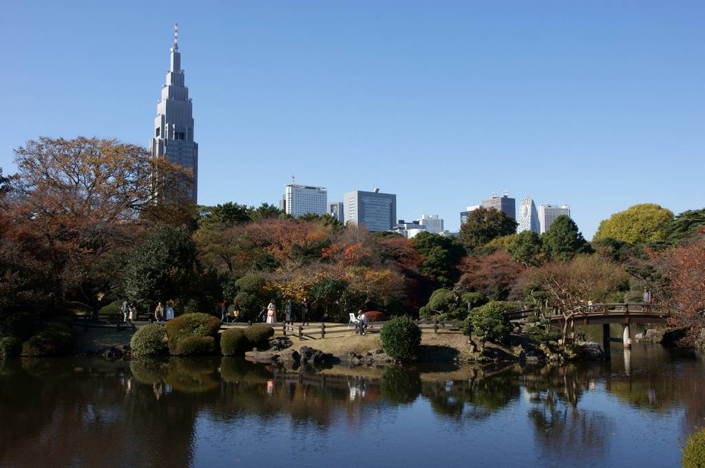 Autumn in Tokyo