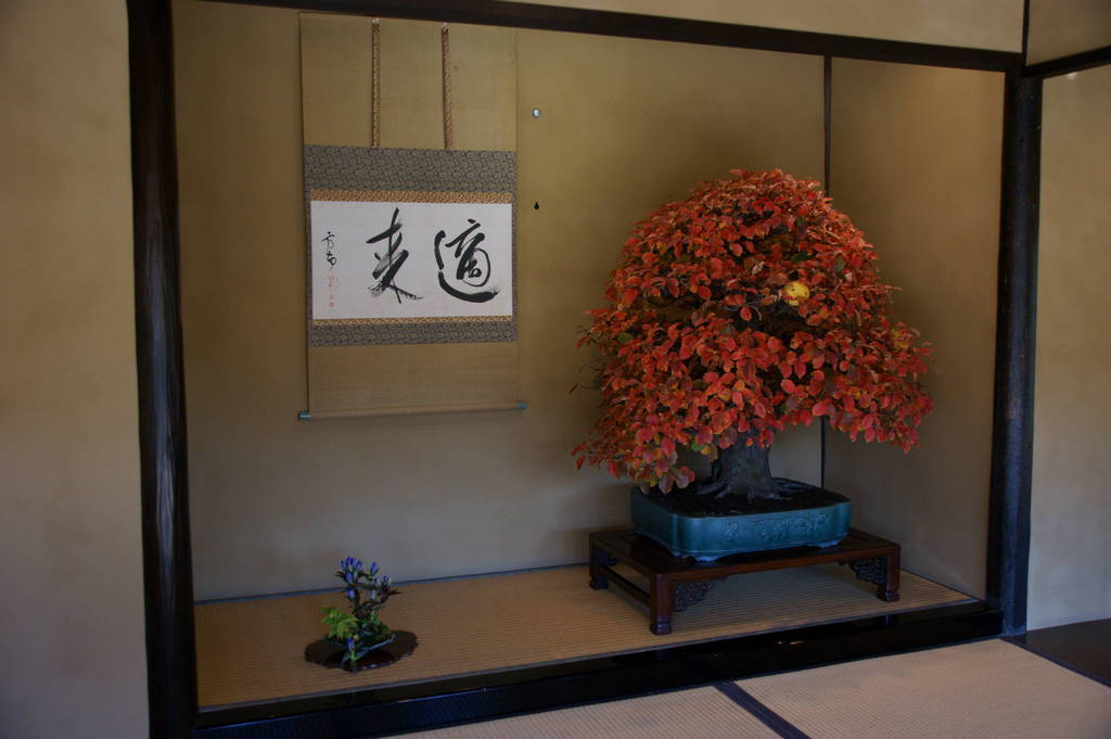 晩秋