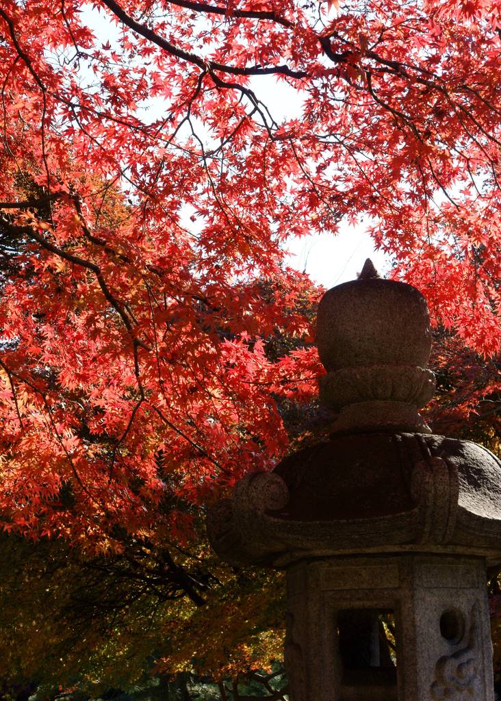 灯篭と紅葉