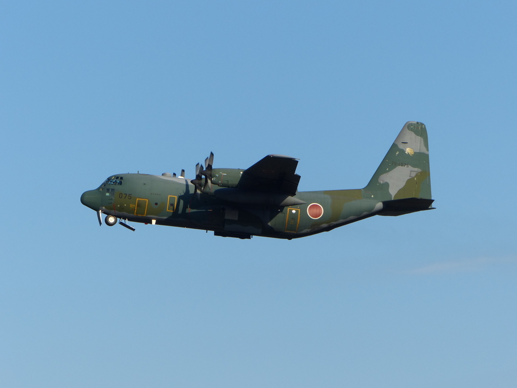 C-130H