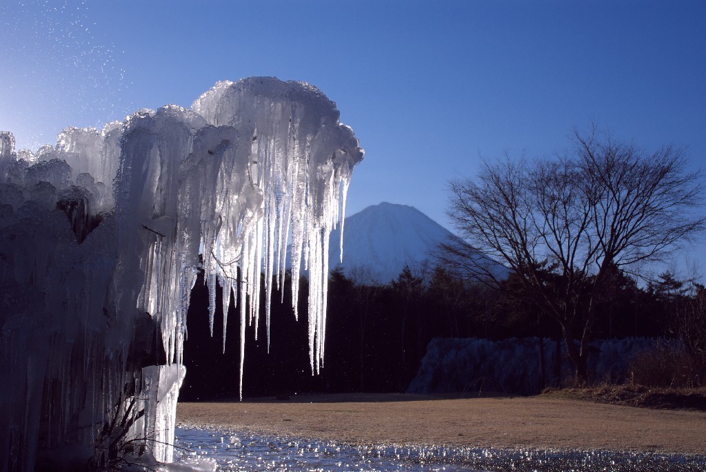 ツラツラ（樹氷＆富士山）