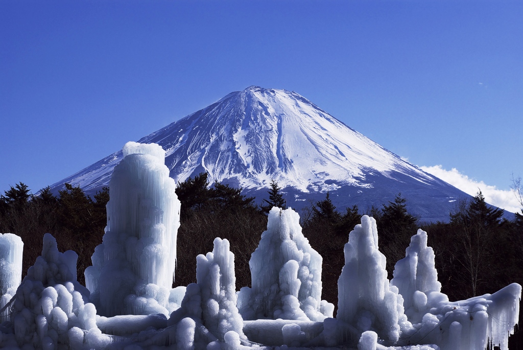 樹氷と富士山　（西湖野鳥の森公園）