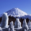 樹氷と富士山　（西湖野鳥の森公園）