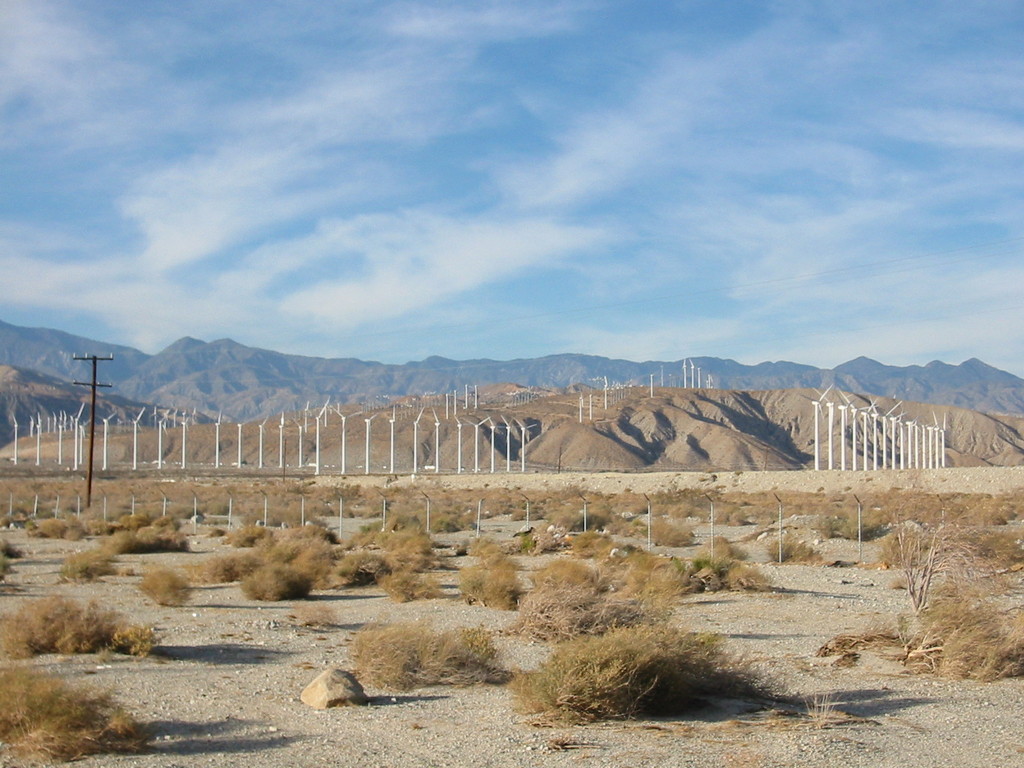 Palm Springs