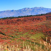 取立山より白山