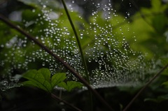水滴