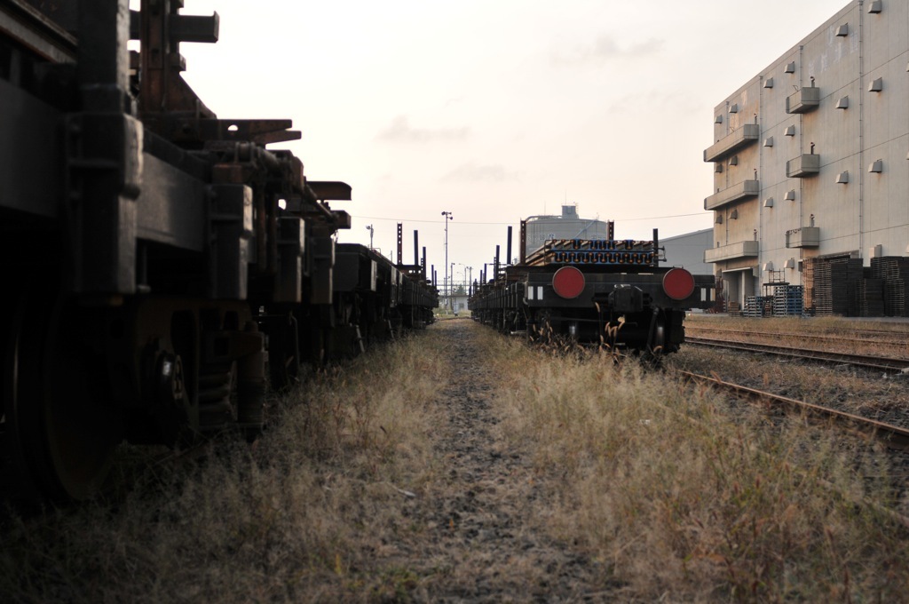 DSC_7094