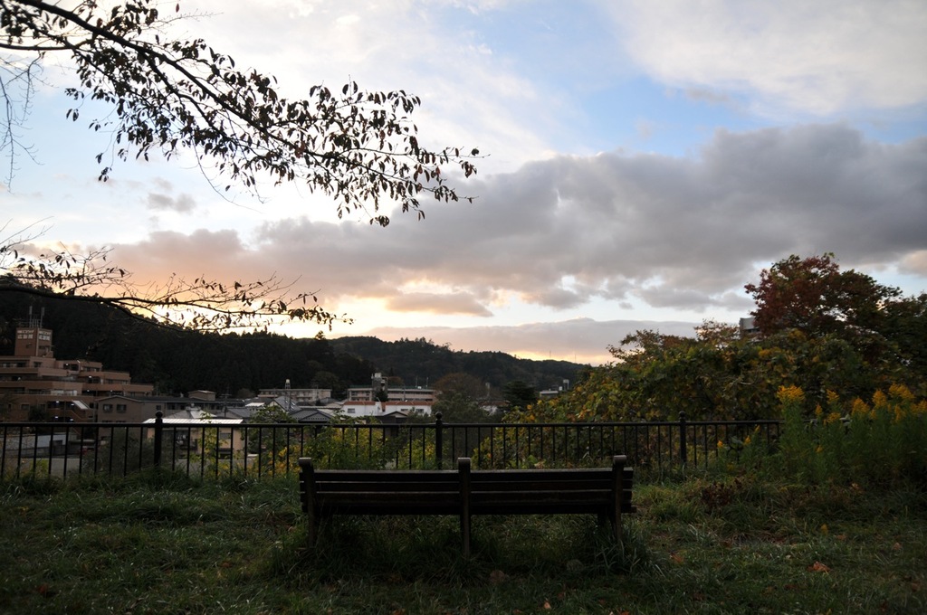 DSC_8461