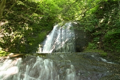 初夏の静滝 　