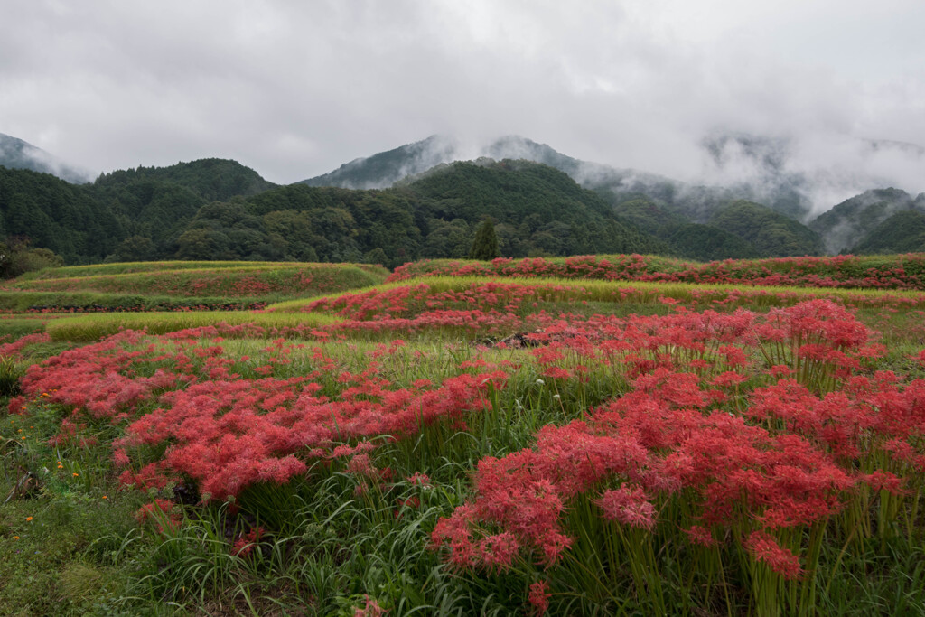 葛城古道の秋