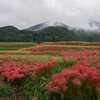 葛城古道の秋